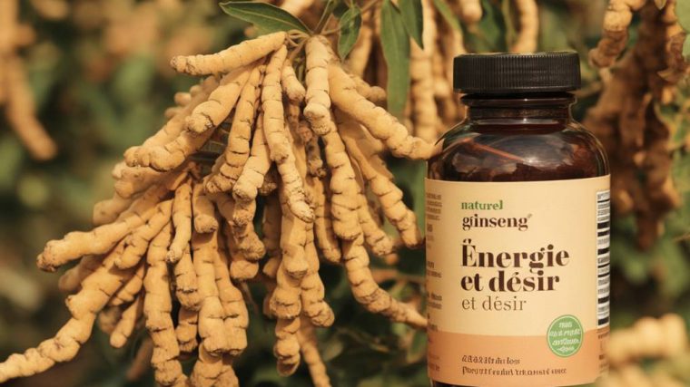 le ginseng : l’allier naturel de votre énergie et désir